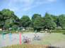 宮本台北公園 400m